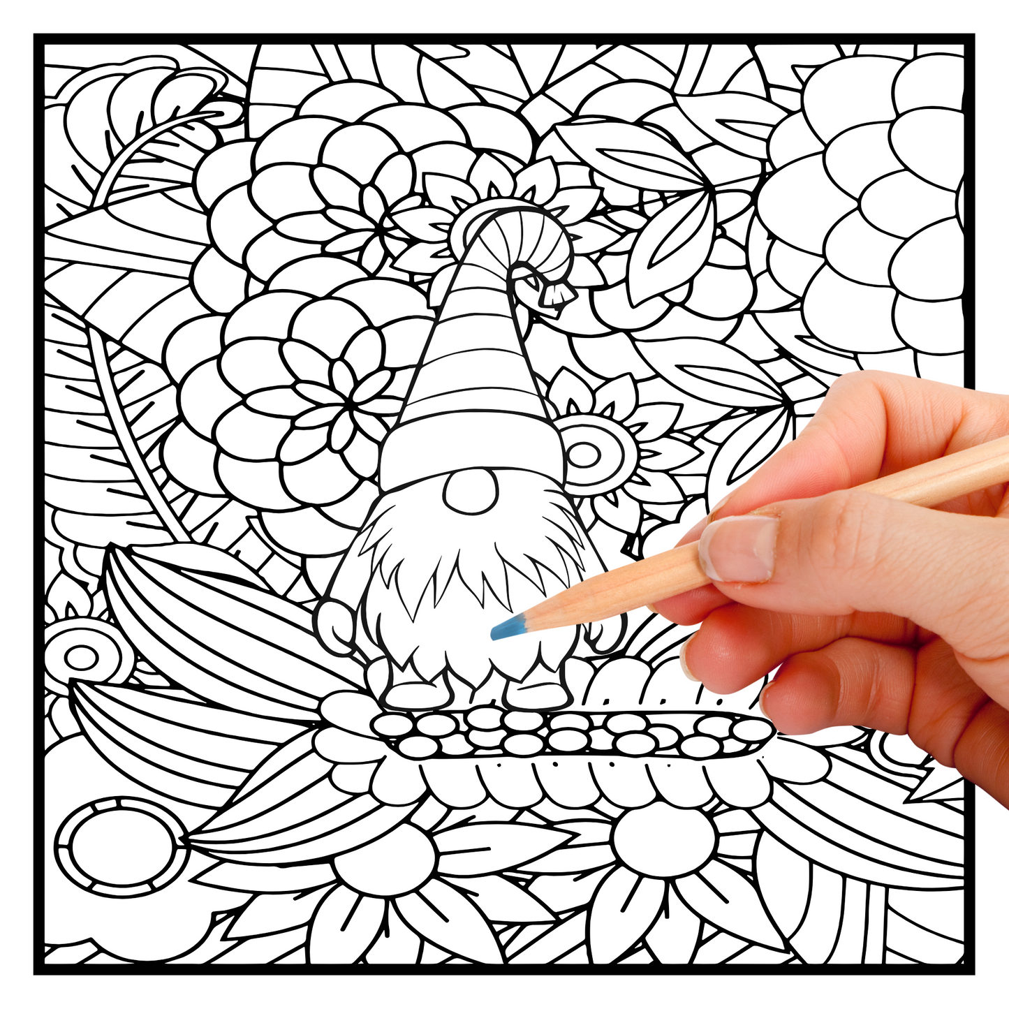 Digital PDF Flower Garden Gnomes Coloring Book