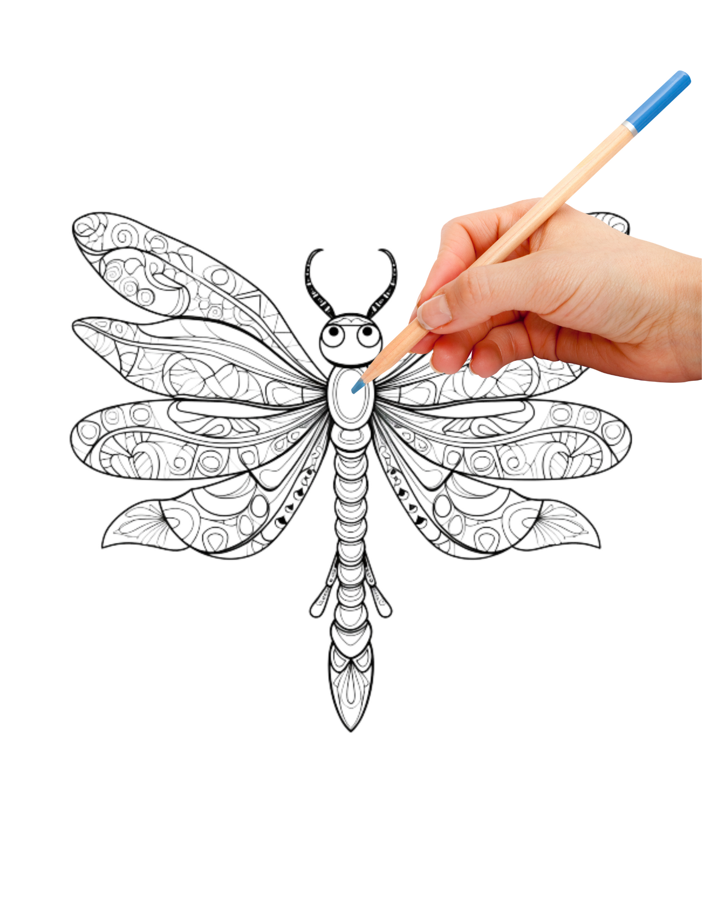 Digital PDF Peaceful Dragonfly Coloring Book