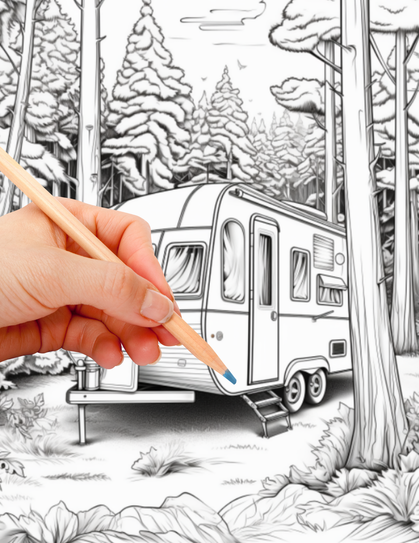 Digital PDF Forest Camper Coloring Book