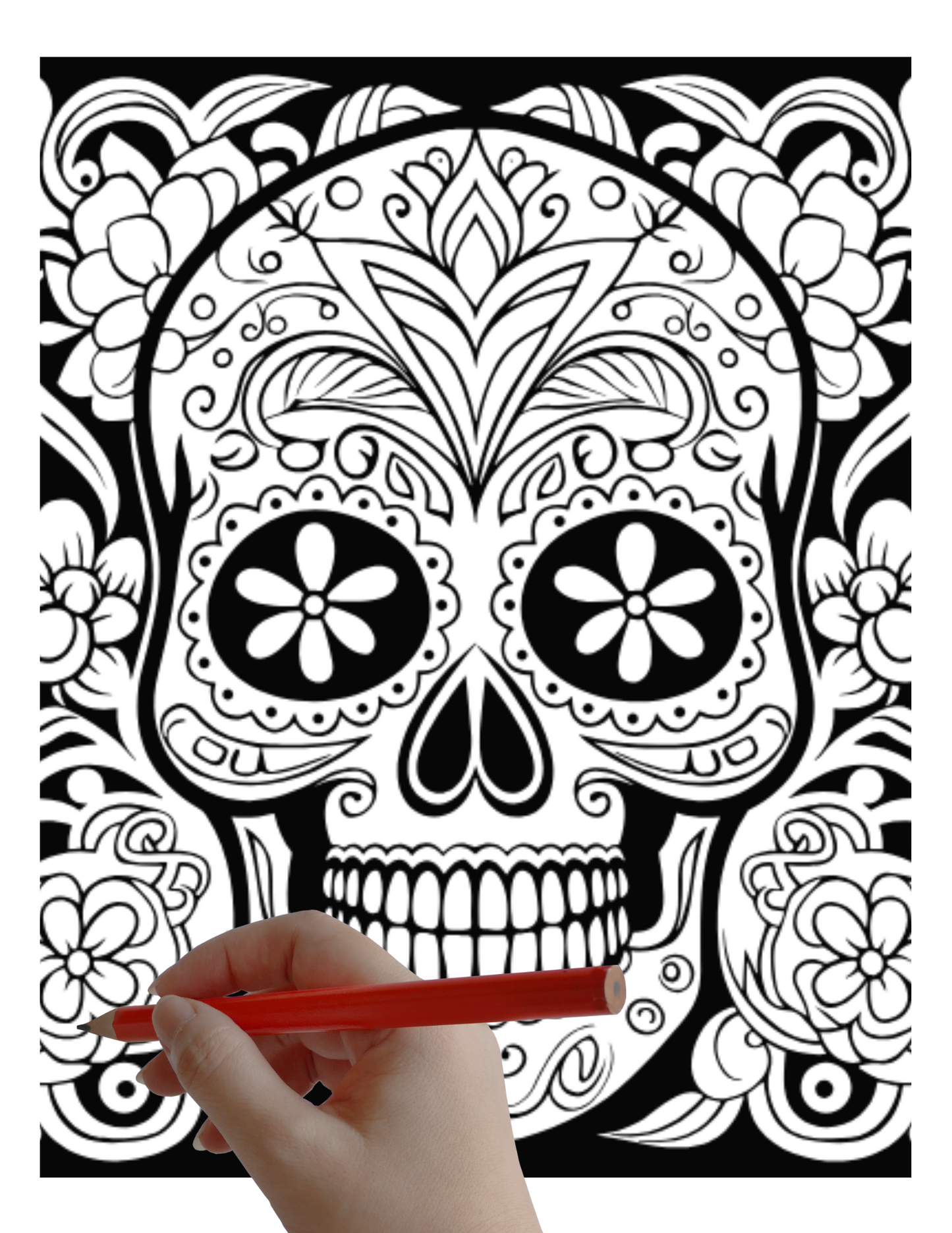 Digital PDF Sugar Skulls Coloring Book