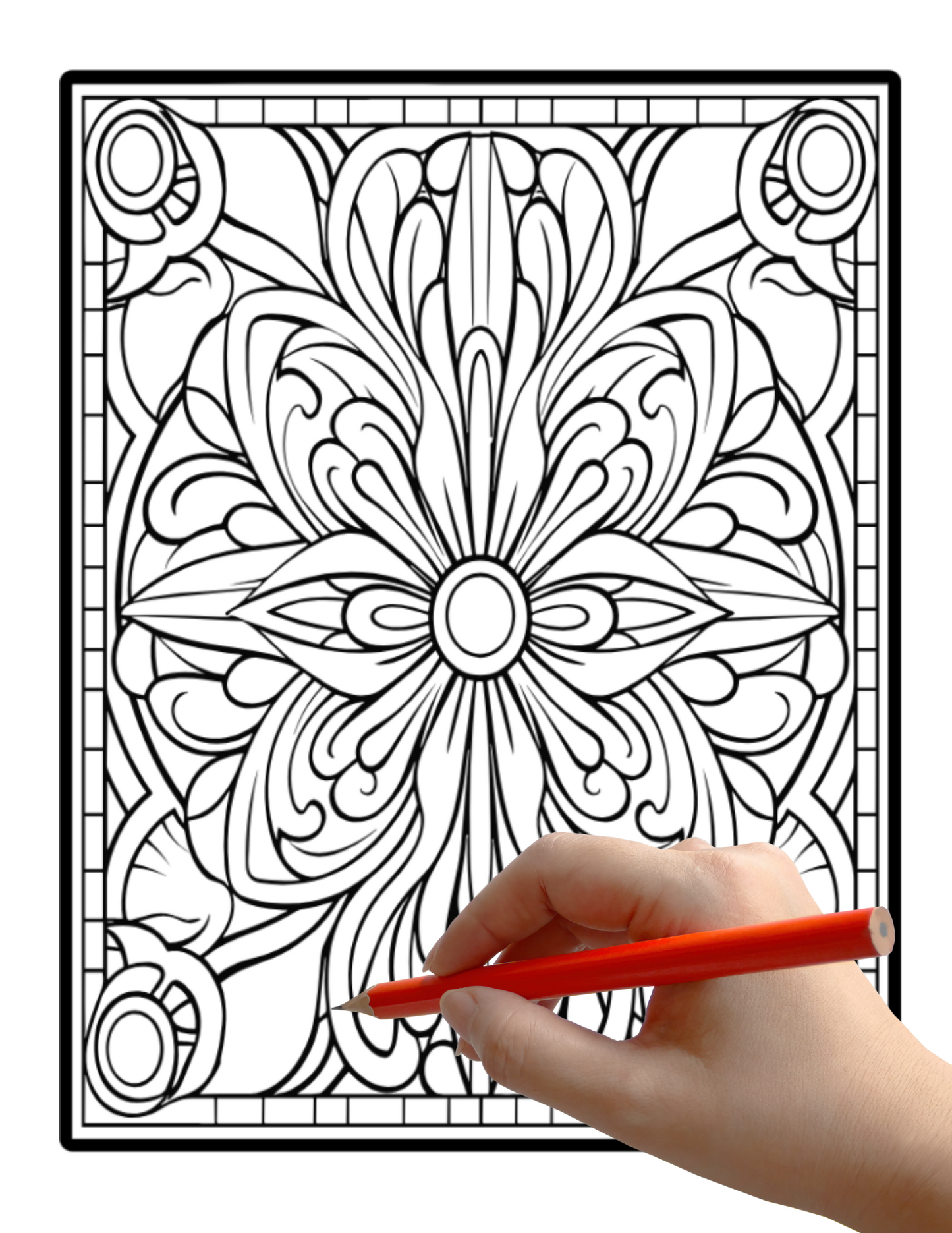 Digital PDF Stress Relief Symmetrical Patterns Coloring Book